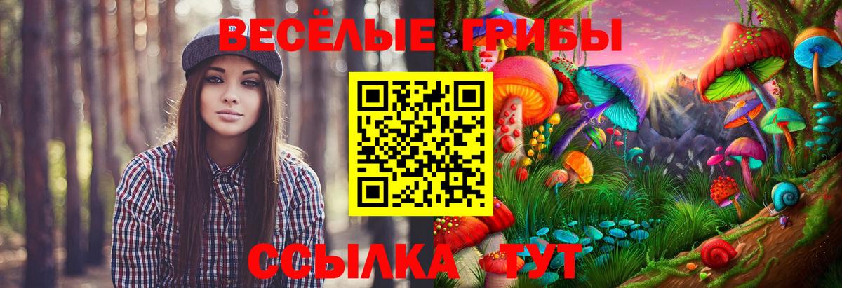 Галлюциногенные грибы мицелий Лениногорск